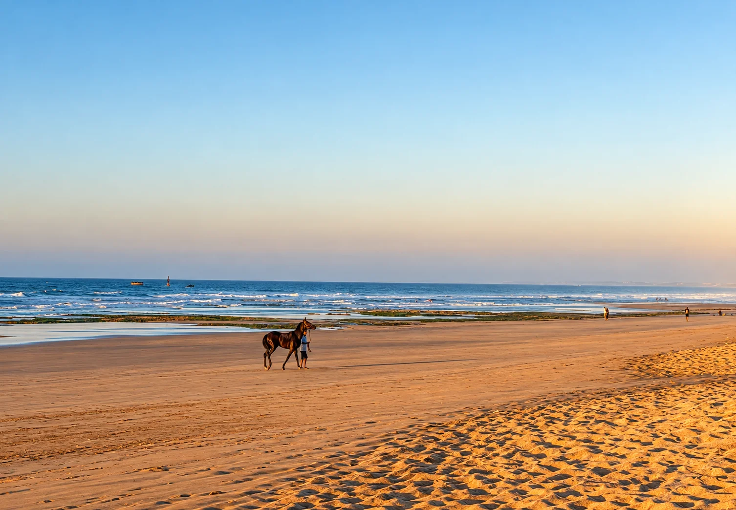 Un cheval mené en main sur la plage Deauville, au coucher du soleil