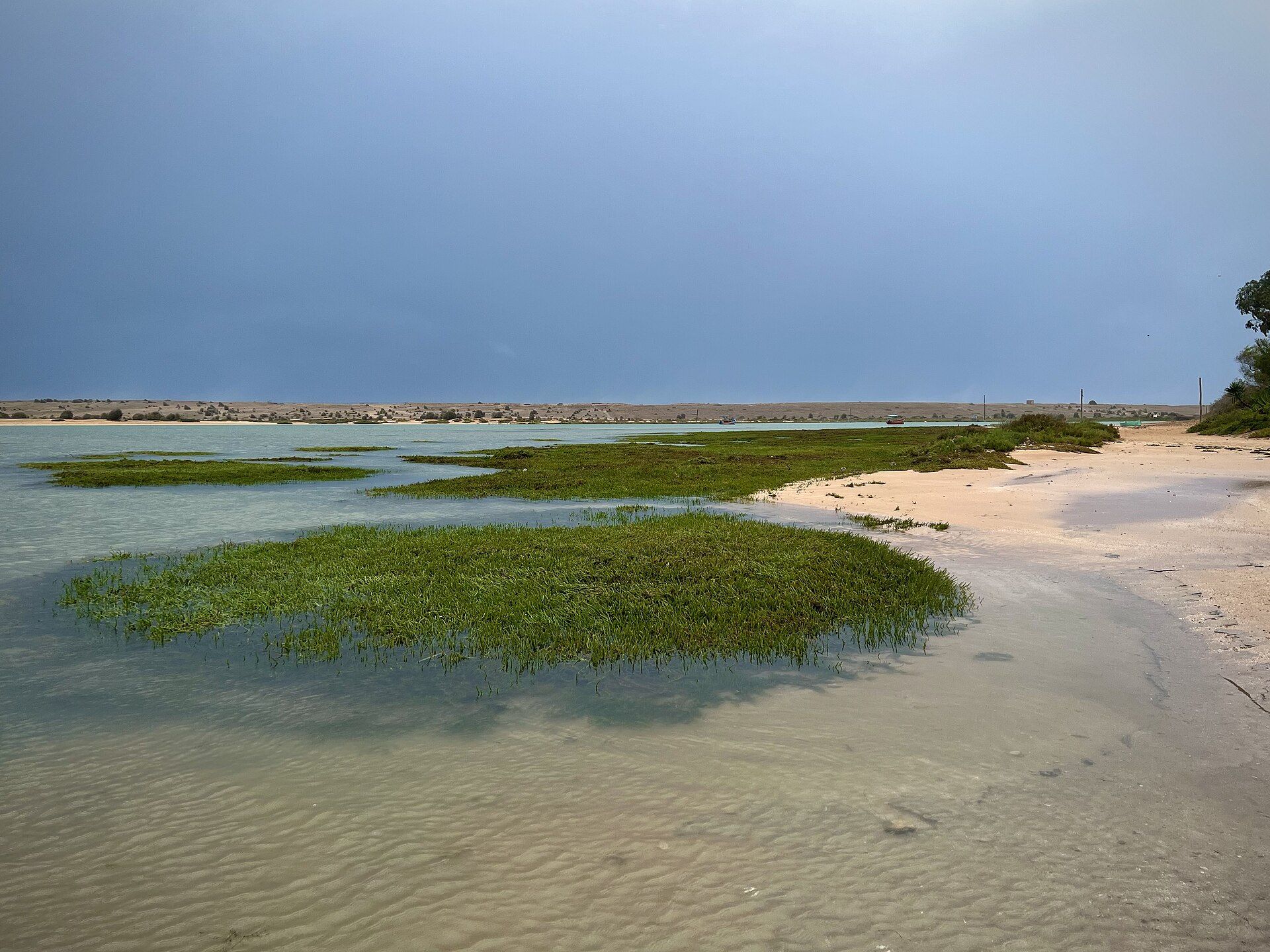 La lagune de Oualidia à marée basse